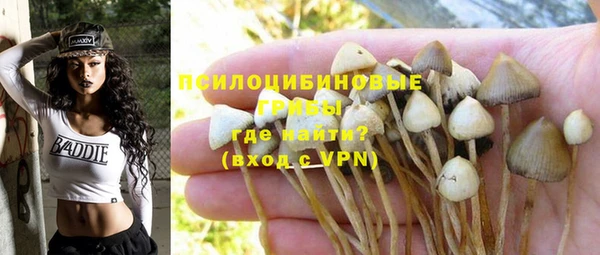 не бодяженный Медногорск