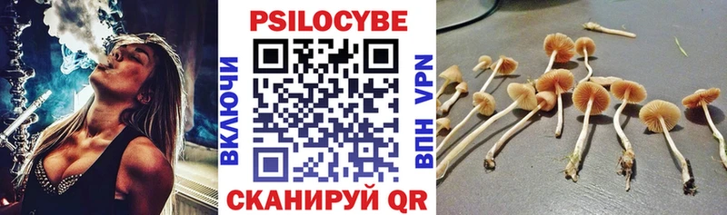 сколько стоит  Новый Оскол  Псилоцибиновые грибы GOLDEN TEACHER 